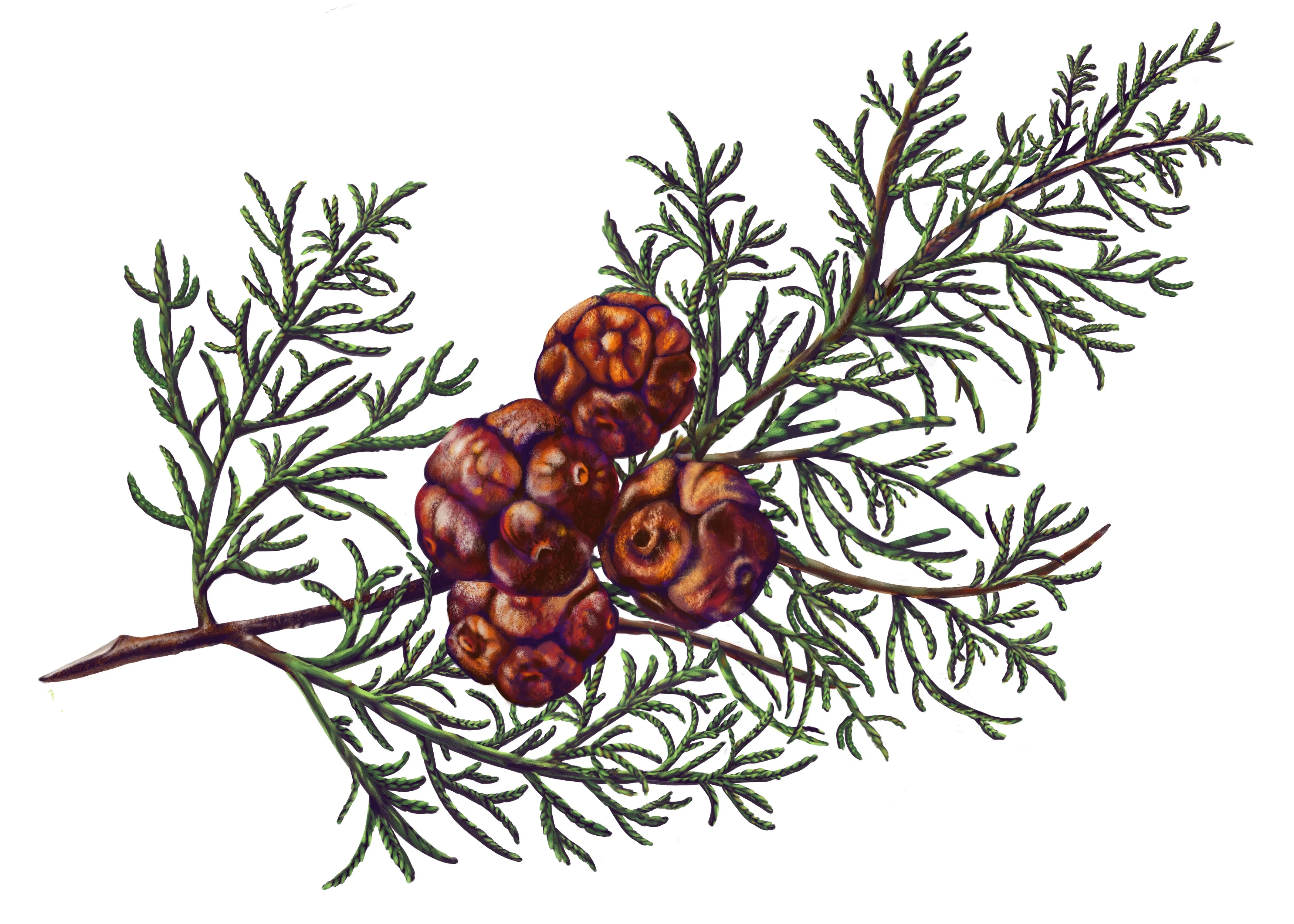 Carrière Frères Scented Candles (185g) - Image 9