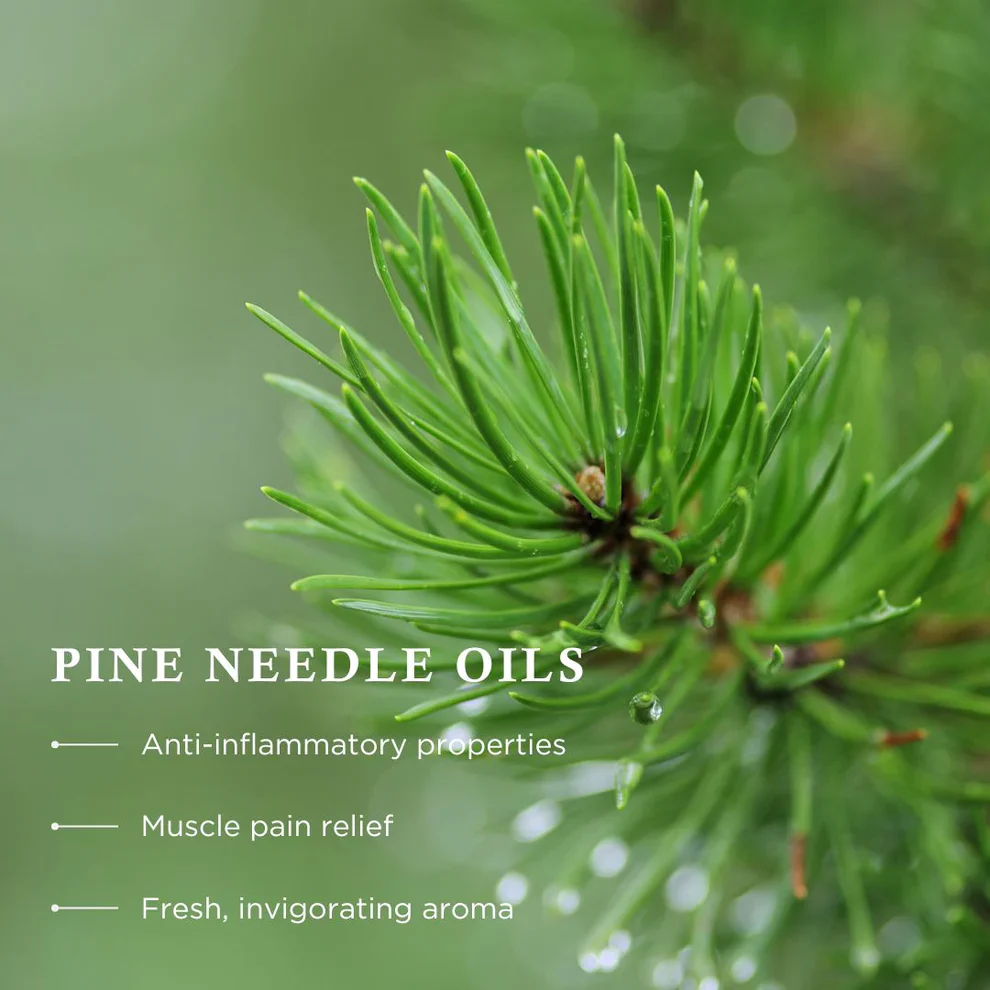 Wiberg's Pine Bath Essence - Image 6