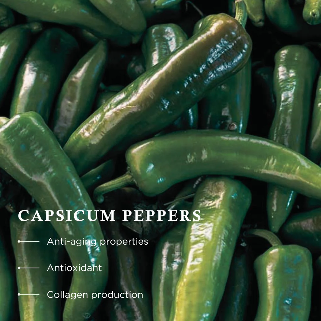 Wiberg's Pine Bath Essence - Image 9